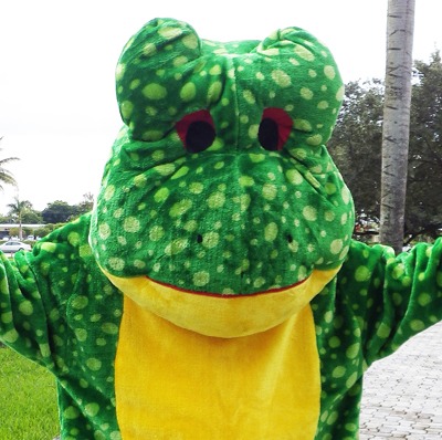 frog, amphibian, fairy tale, costume